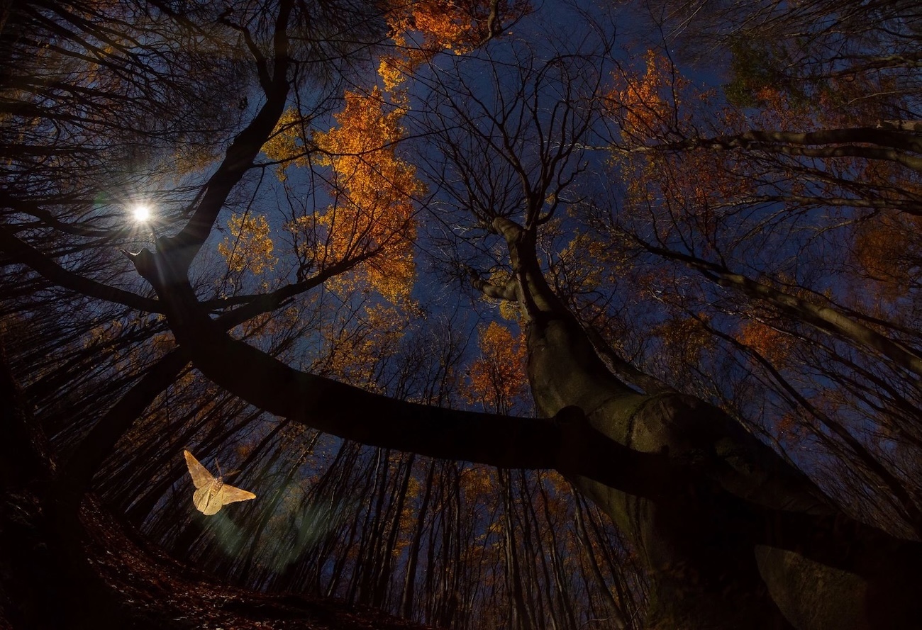 OurNature Environmental Photo & Video Award 2026 Winners
