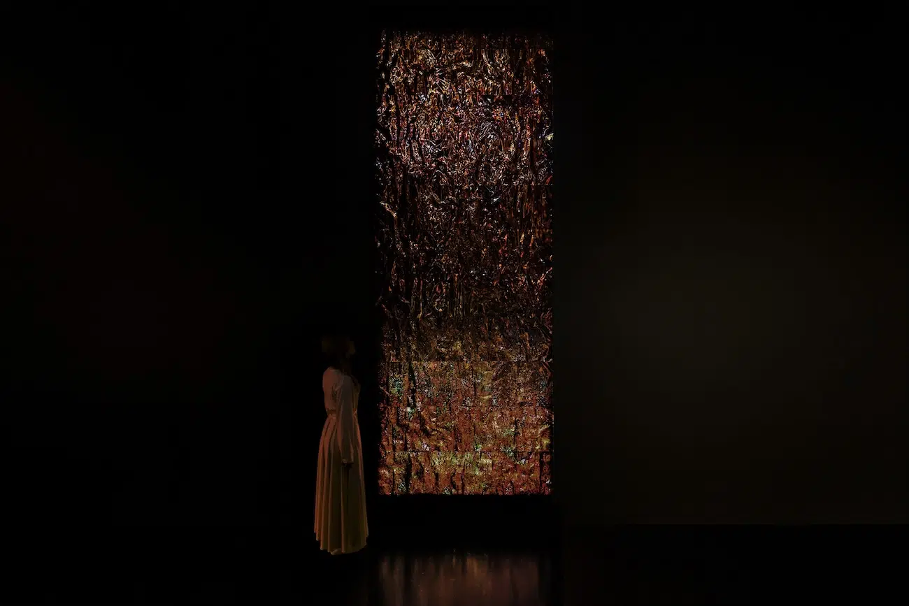 teamLab Exhibition in Chicago