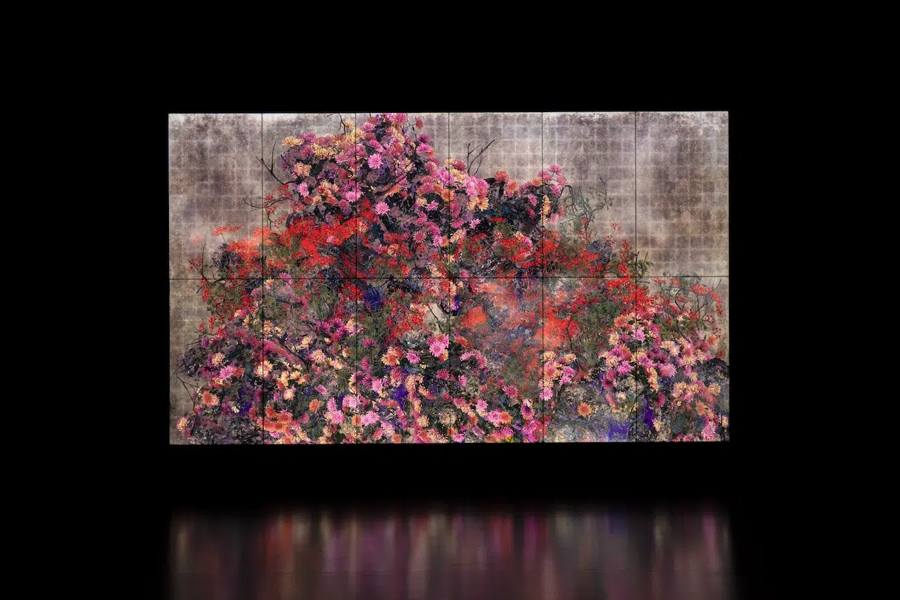 teamLab Exhibition in Chicago
