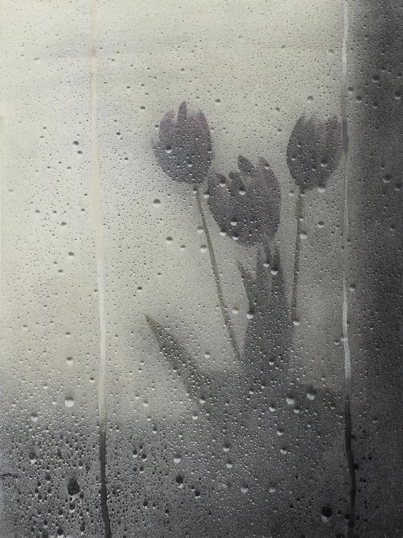 Ric Santon, “Windows and Tulips.”