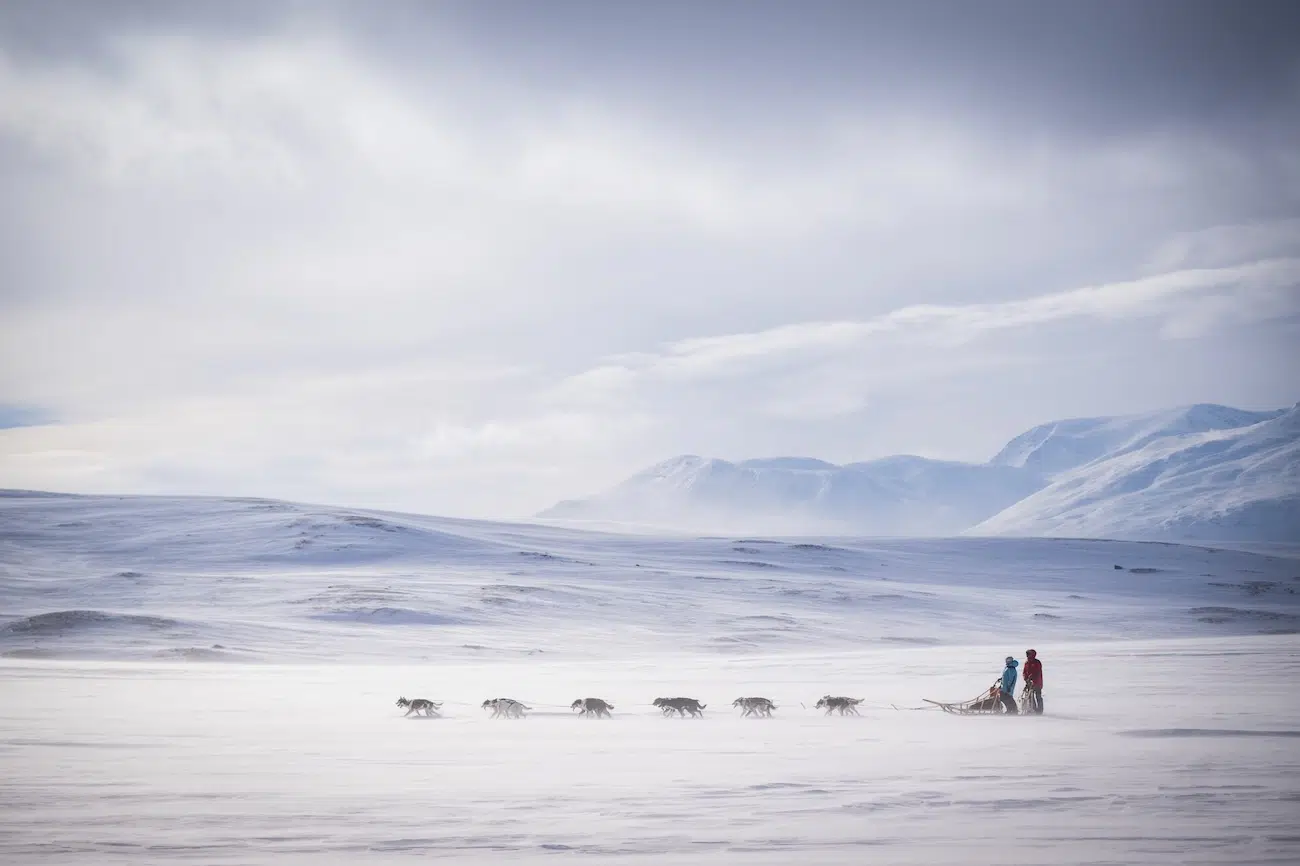 Dog Photography Awards 2026