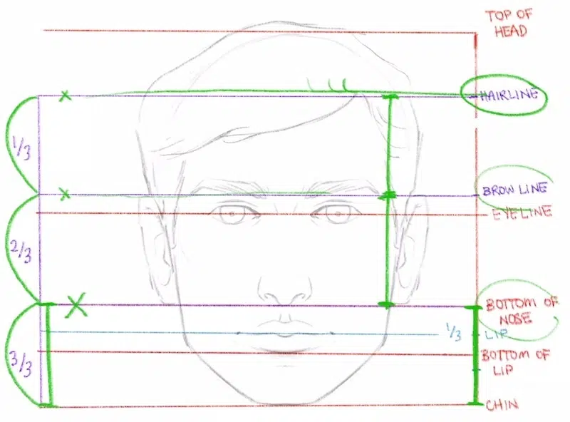 Knowing Skeletal Structure to Draw a Portrait