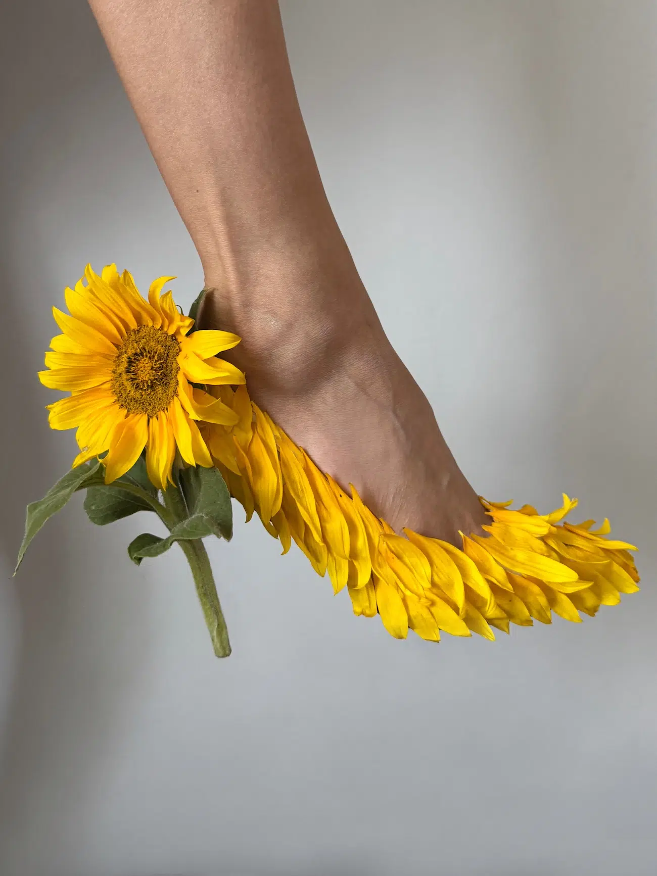 Heels made from sunflowers. 
