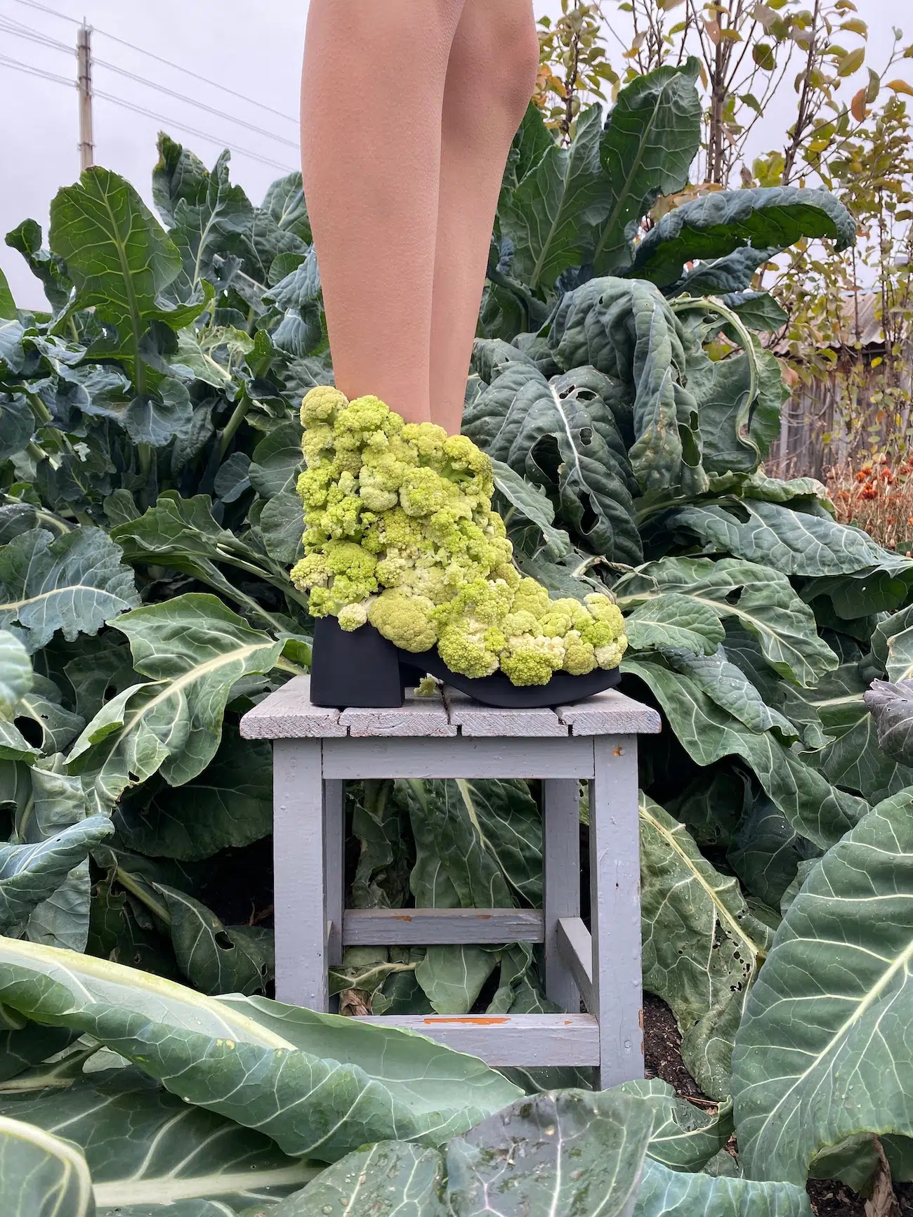 Boots made from cauliflower. 