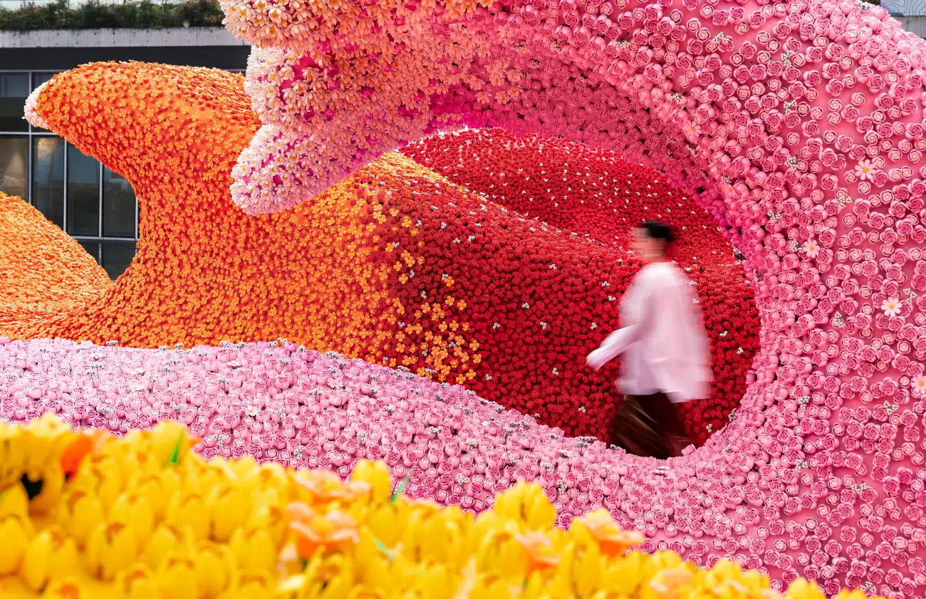 LEGO Botanical Wave in Shanghai