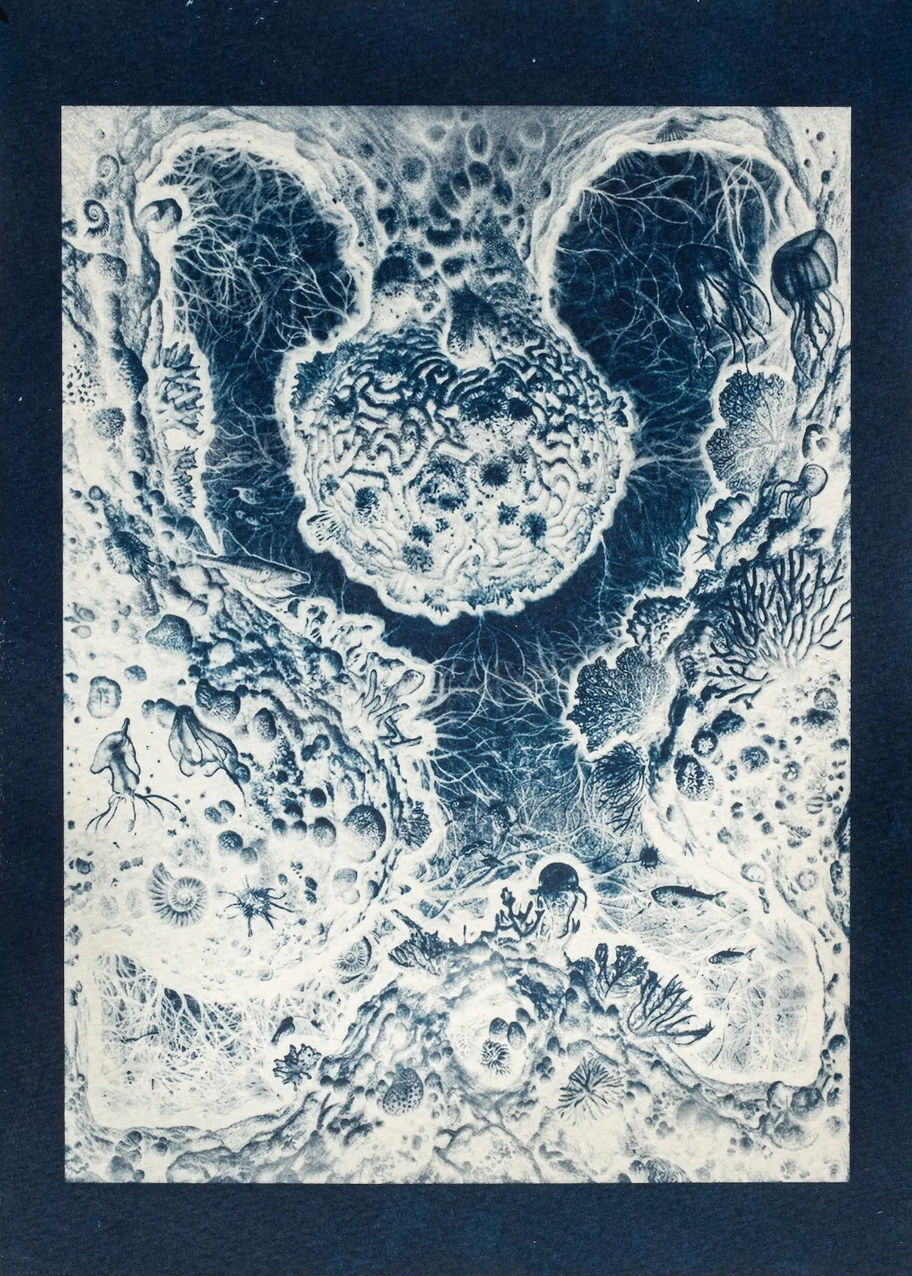 Parag Tandel Vitamin Sea Archives: Sediments of Intelligence - 22, 2026 Cyanotype on Archival watercolor paper, 8.3 x 5.9 inches. 