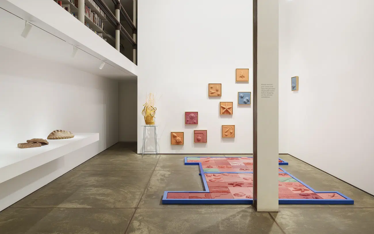 Installation view of Parag Tandel's Salted Caviar at TARQ Gallery Mumbai 