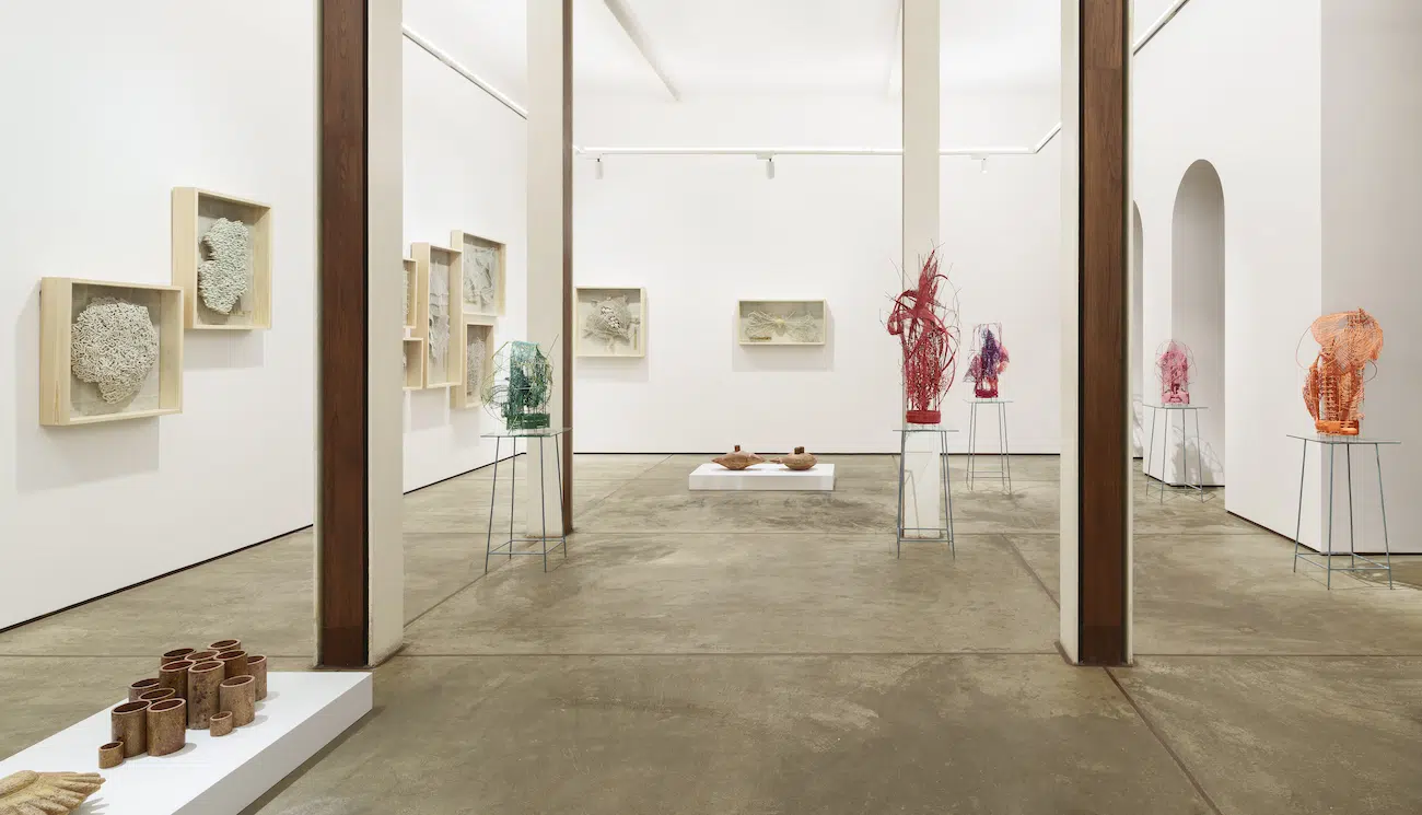 Installation view of Parag Tandel's Salted Caviar at TARQ Gallery Mumbai 