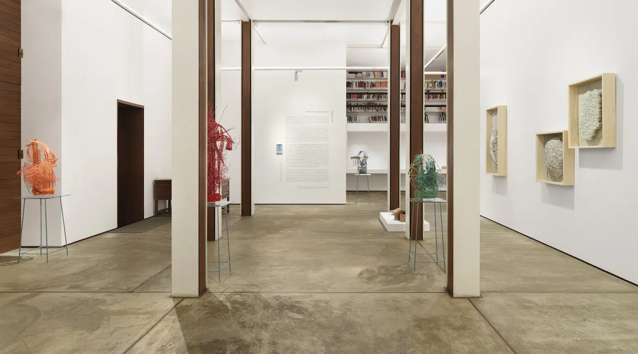 Installation view of Parag Tandel's Salted Caviar at TARQ Gallery Mumbai 
