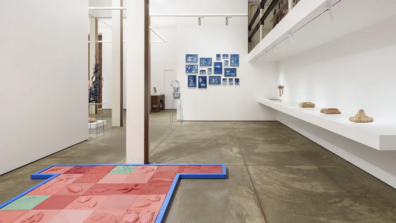 Installation view of Parag Tandel's Salted Caviar at TARQ Gallery Mumbai 