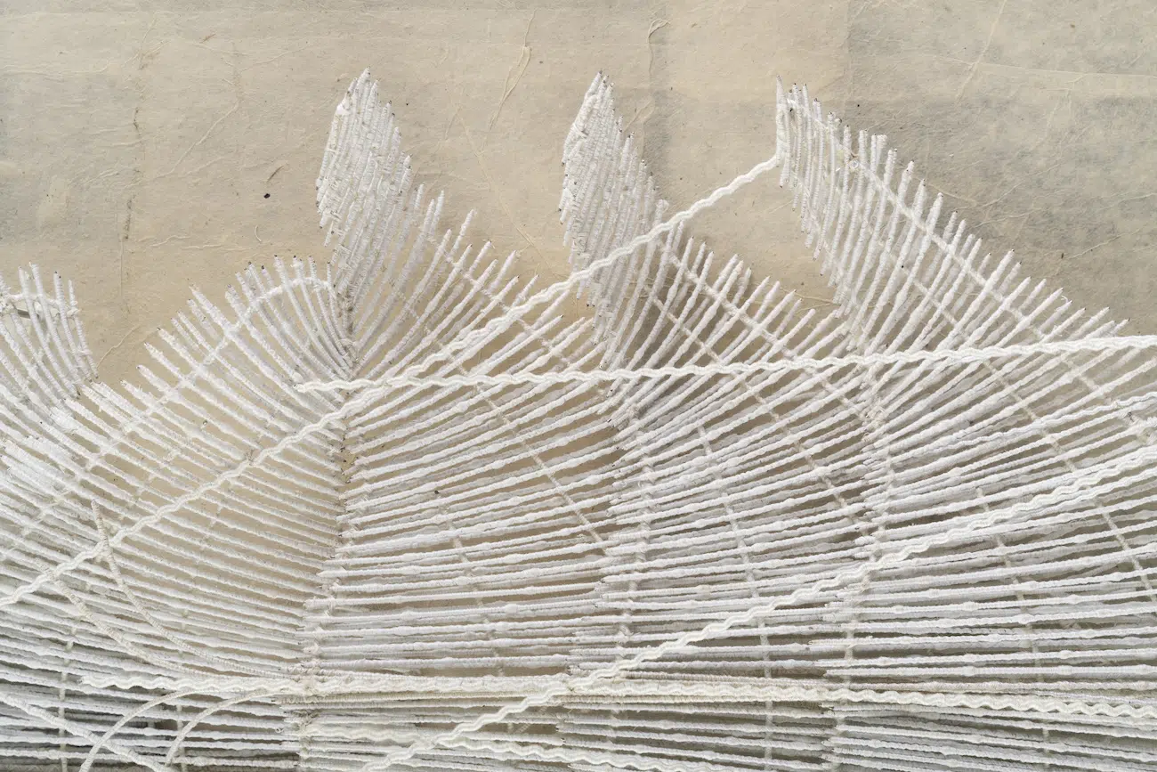 Parag Tandel, Estuaries of Waning Sounds: Koli Dictionary Project 8, 2026. Cotton polyester thread, stainless steel wire and rice paper on MDF board, 48 x 24 x 3.5 inches. Framed size: 49.4 x 25.3 x 5.8 inches
