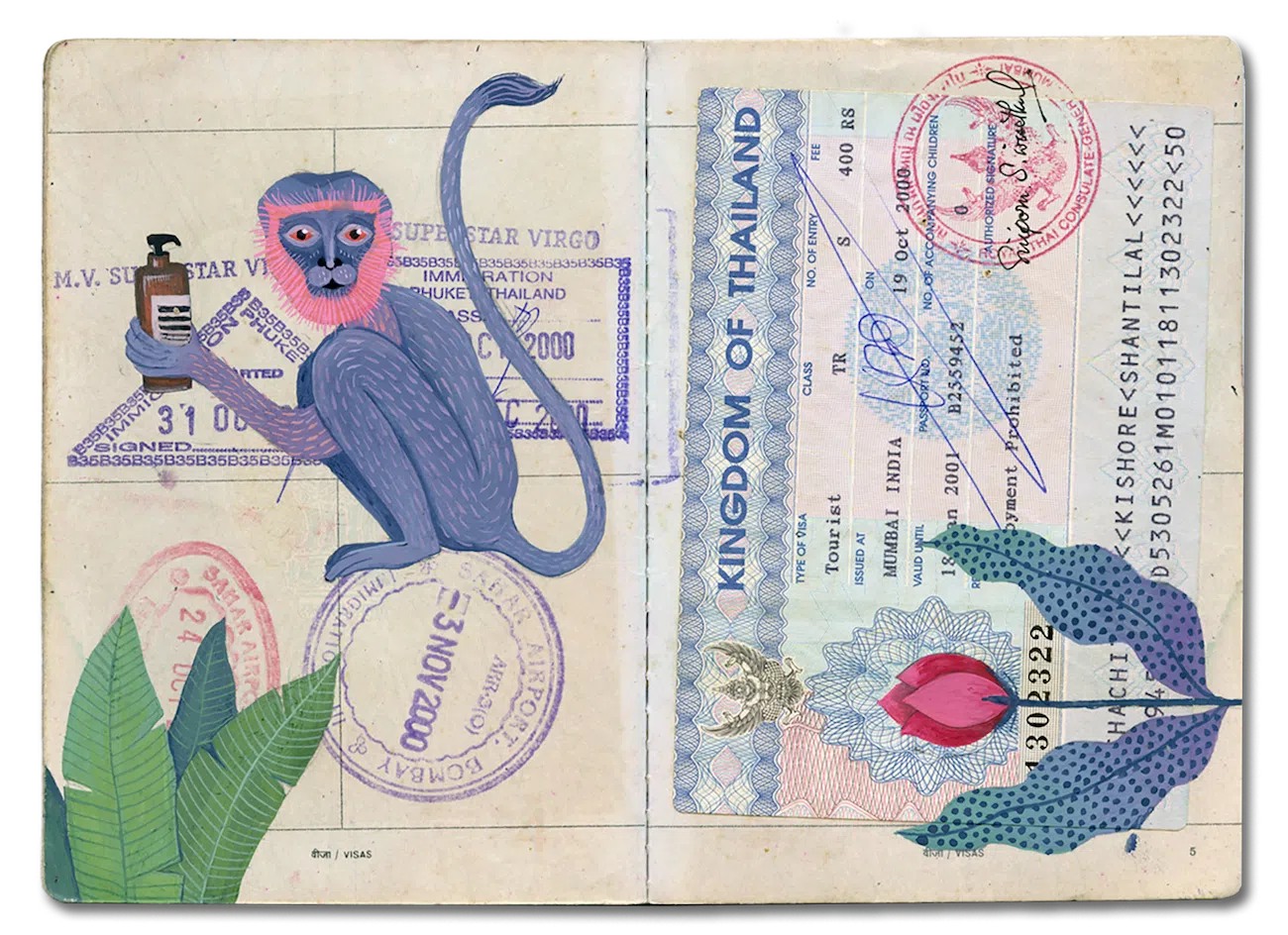 Passport that's been painted on with a monkey and a flower.