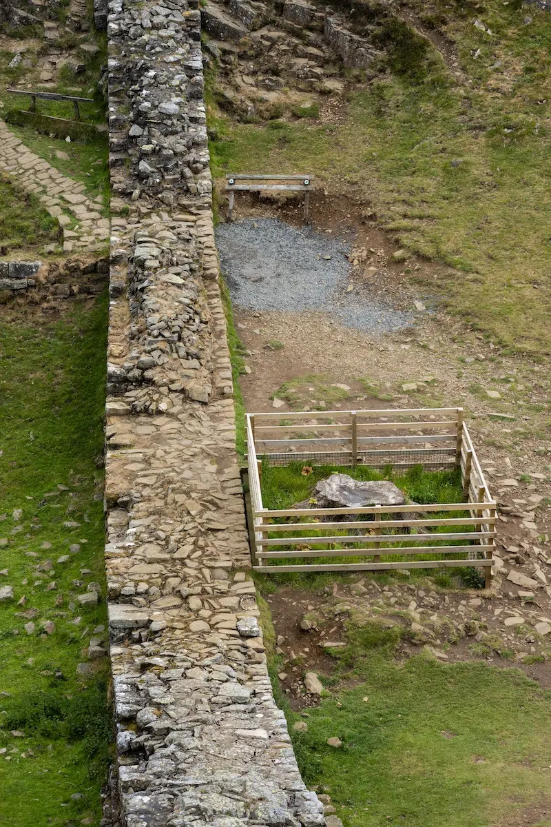 Photo of the Sycamore Gap Tree being protected by fence. 