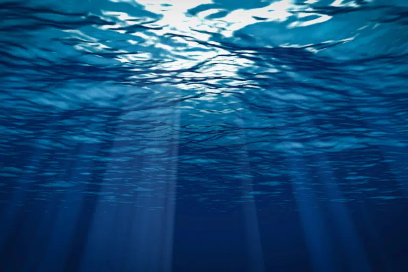 Sun rays underwater