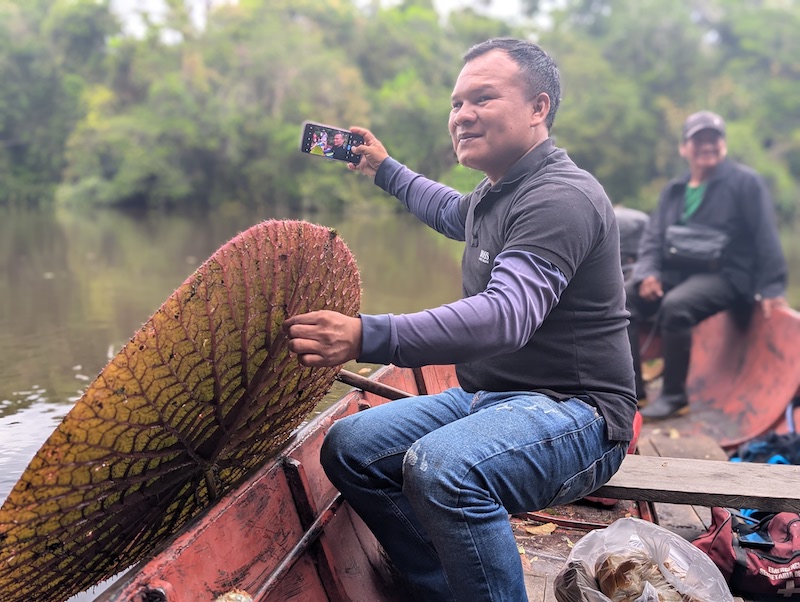 victoria colombiana waterlily discovery