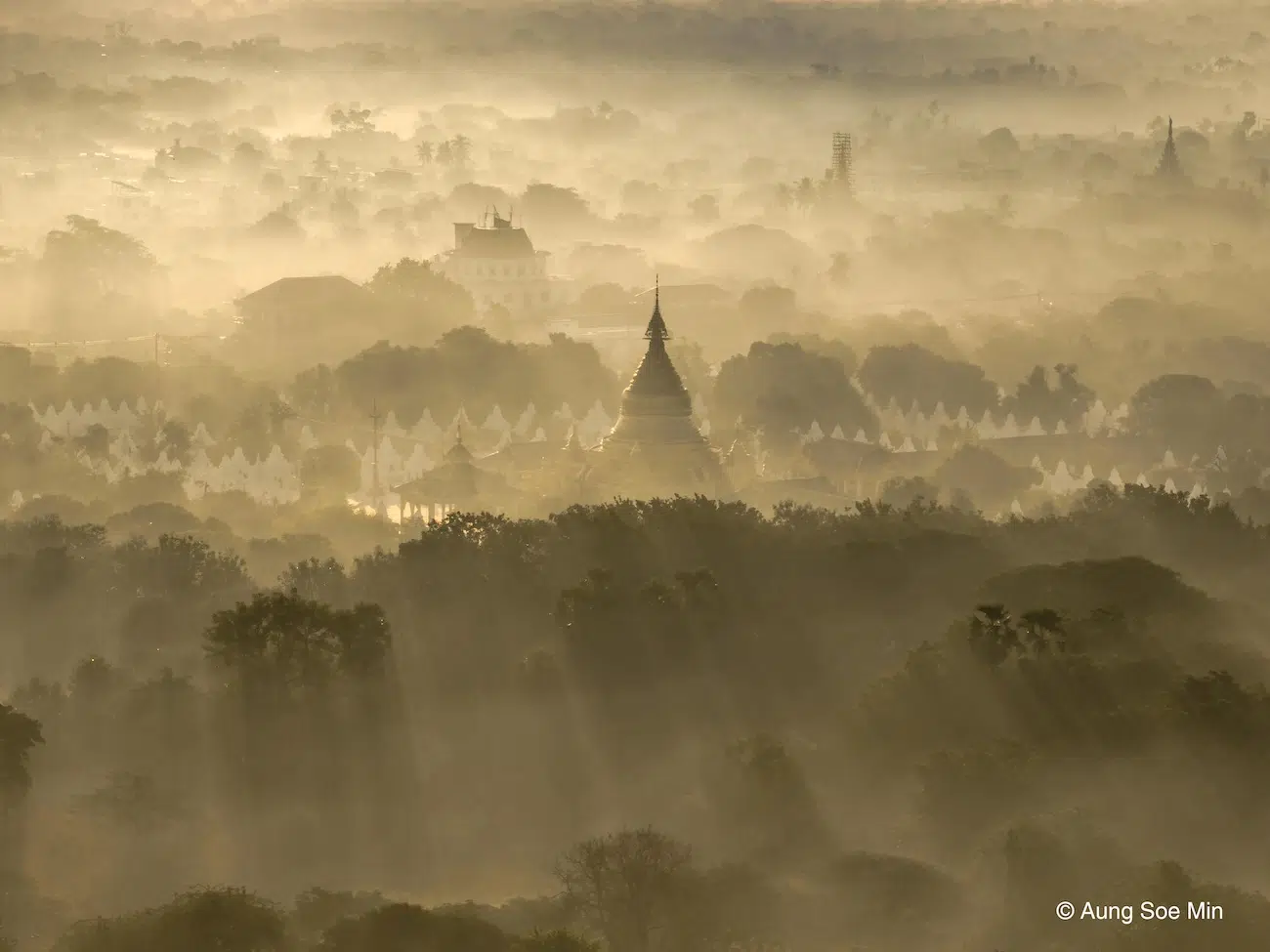 Photo of rooftops and trees in dramatic light. 