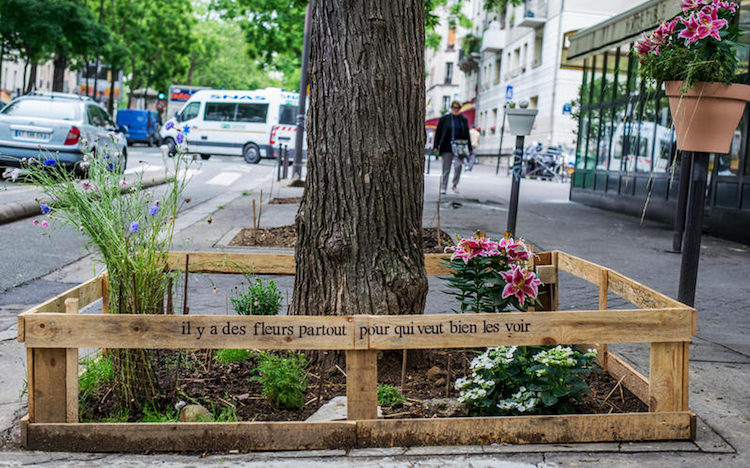 The Flower Friendly City Of Paris