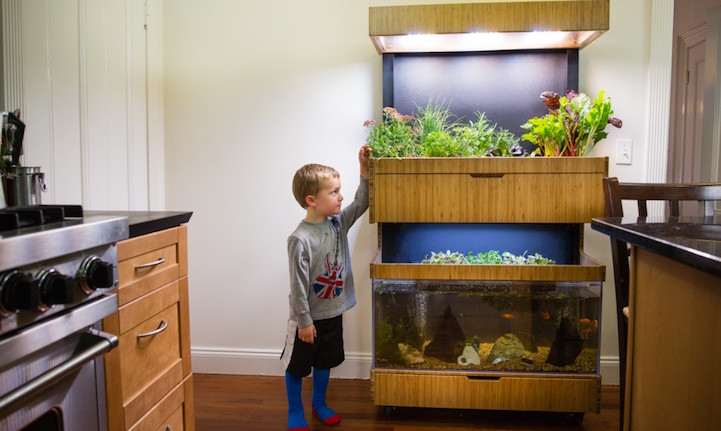 Hi-Tech Indoor Garden Uses Aquaponics to Grow a Salad a Day