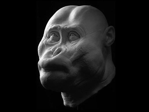 Faces of Human Ancestors