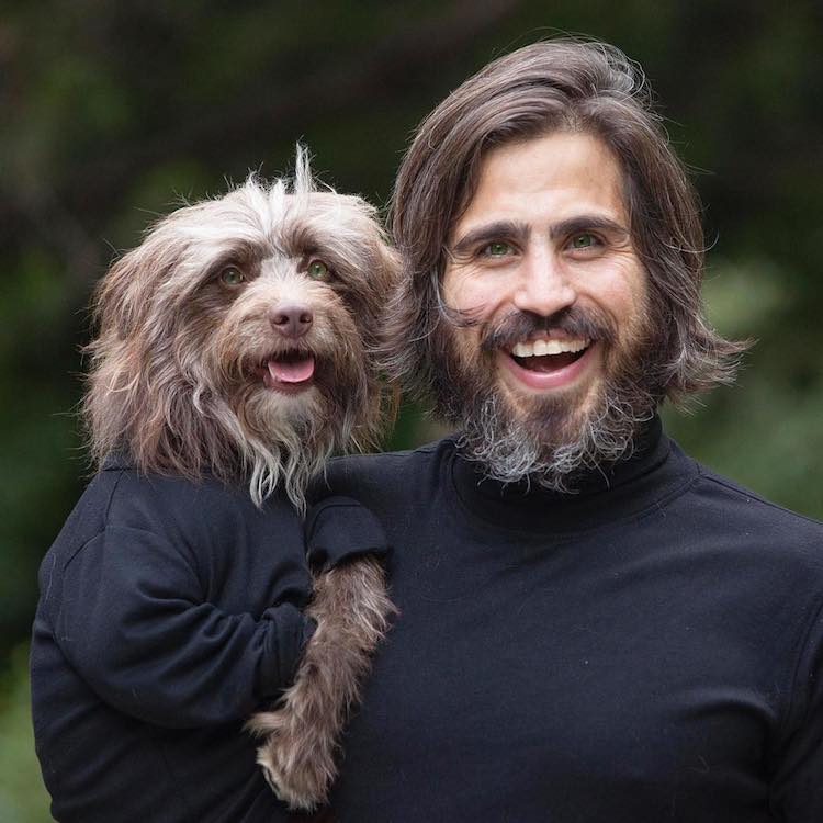 Endearing Matching Outfits Between Aussiedoodle And Human