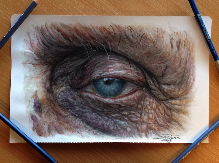 Hyperrealistic Color Pencil Drawings of Eyes