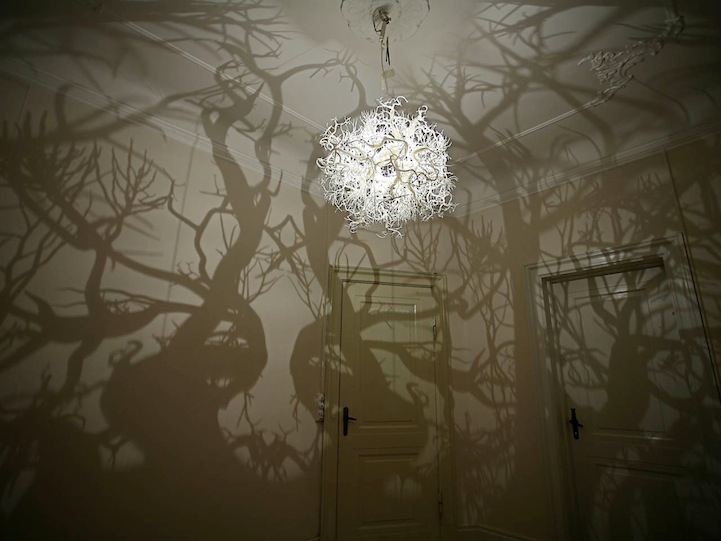 The Chandelier That Produces a Shadow Forest of Wild Trees.
