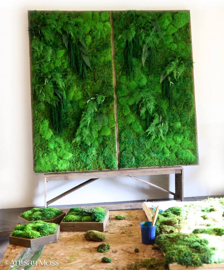 Eco-Friendly Botanical Wall Art Brings the Self-Sustaining Beauty of ...