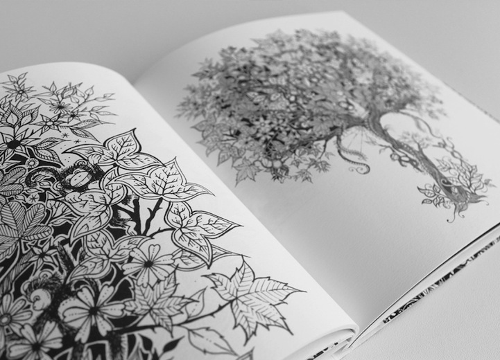 Johanna Basford Adult Coloring Page Inspired by Nature