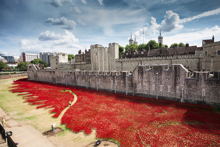 poppies tower of london