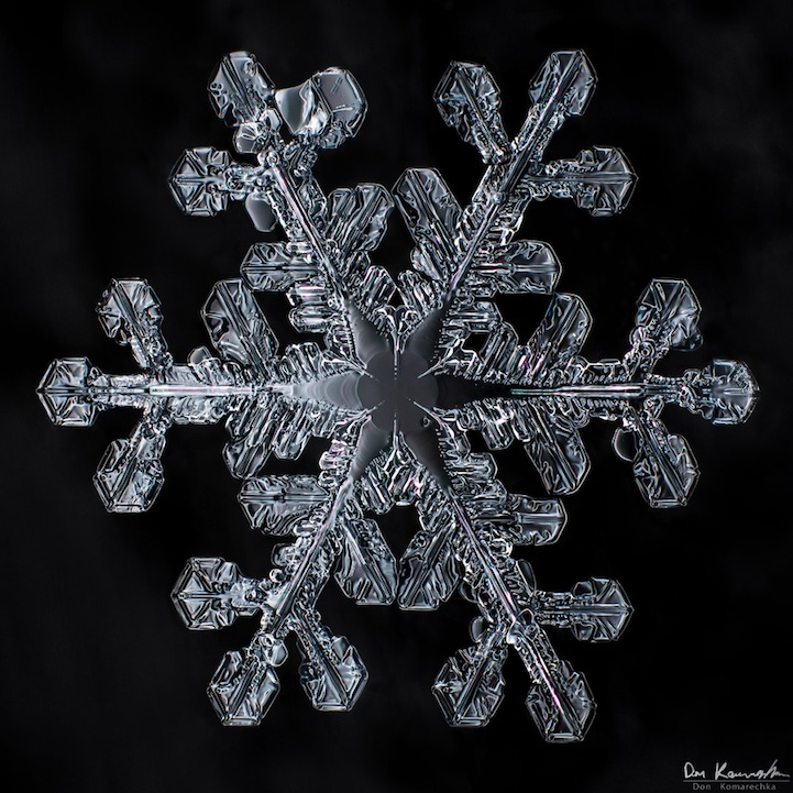 Crystal Clear Snowflake Photos by Don Komarechka