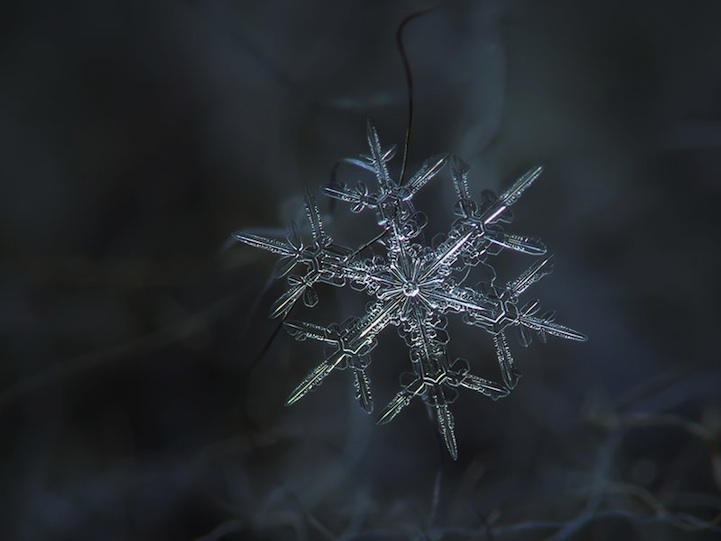 beautiful snowflake photography
