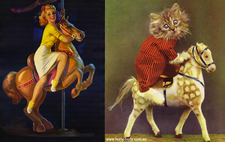 Cats That Look Like Pin Up Girls