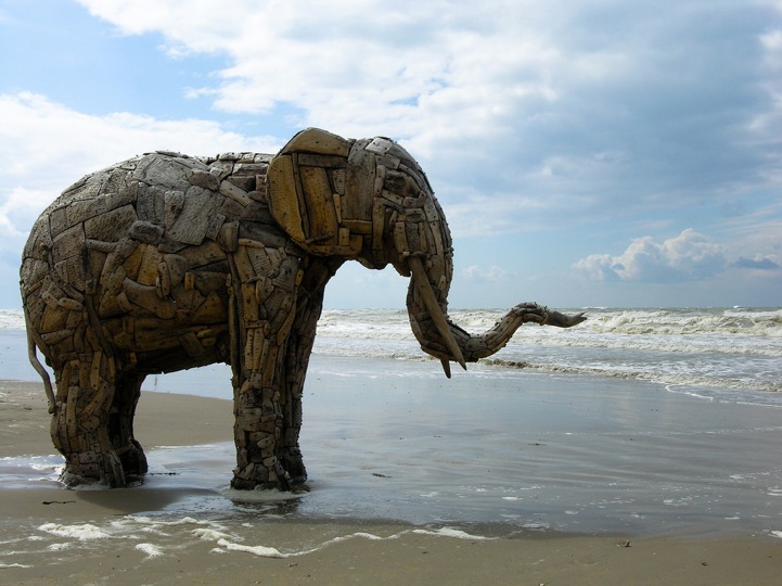 Majestic Driftwood Elephant Sculptures