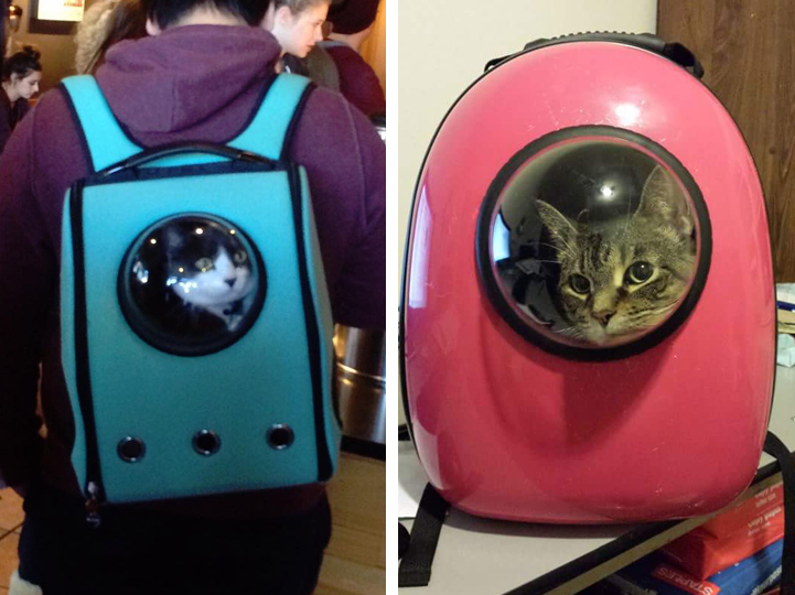 upet cat backpack