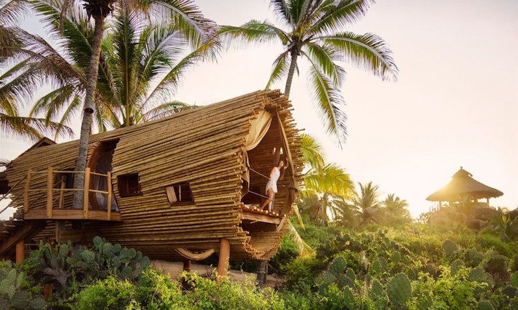 Cylindrical Treehouse Made With Sustainable Bamboo Is A Solar Powered Oasis In Mexico