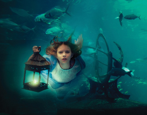 10 Amazing Underwater Photo Sets You Have To See To Believe