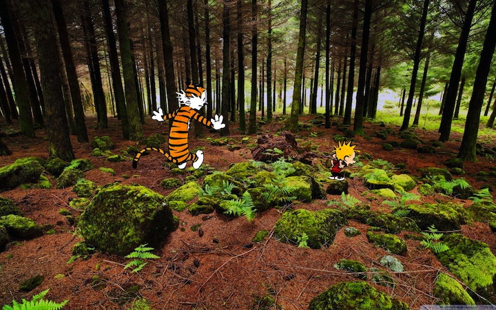Calvin and Hobbes Photoshopped into Scenes