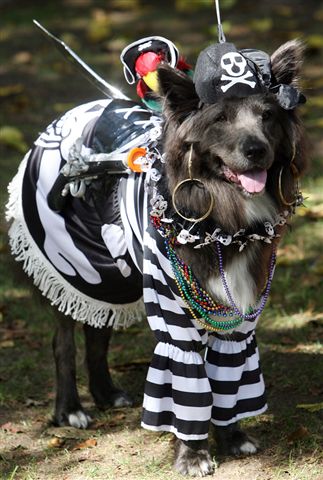 Happy Doggy Halloween Day!! Tompkins Square Pet Parade: New York