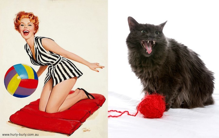 Cats That Look Like Pin Up Girls