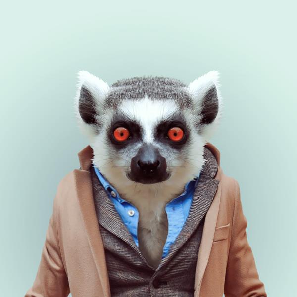 Funny Portraits of Animals Dressed Like Humans