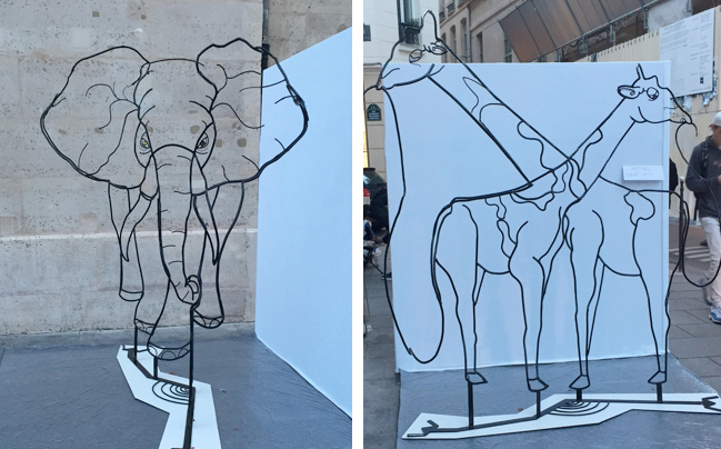 Wire Sculpture Reveals Different Types of Animals, Depending on Perspective