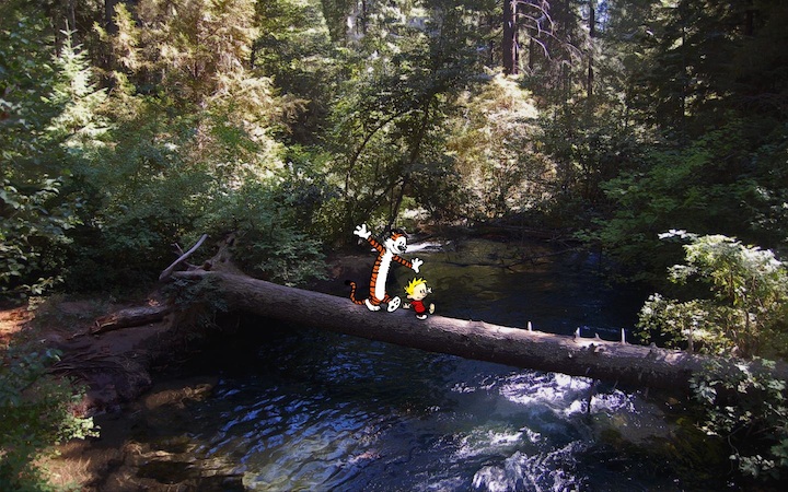 Calvin and Hobbes Photoshopped into Scenes