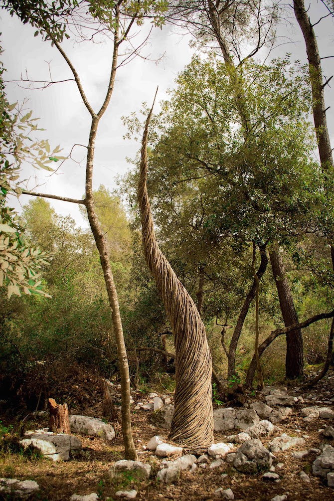 sculpture en bois mort 