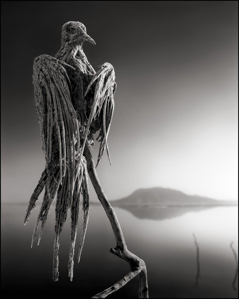 Nick Brandt Lake Natron