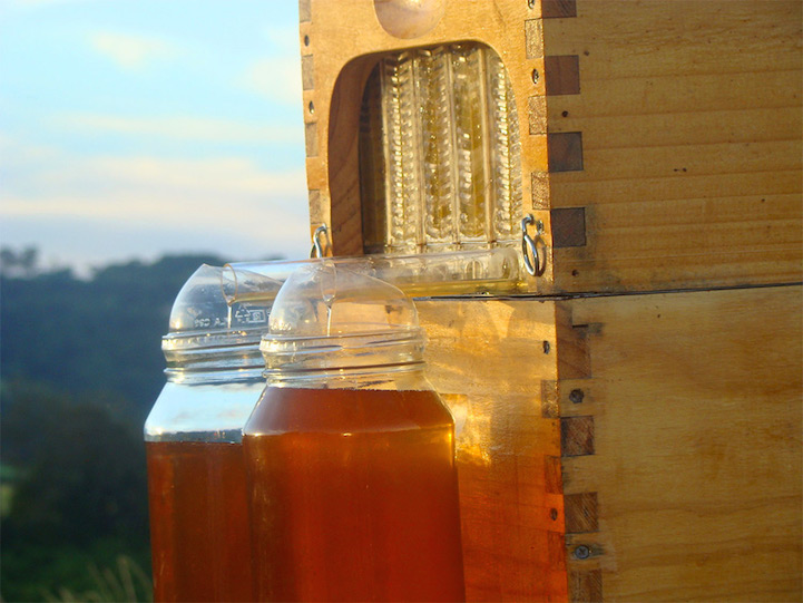 stuart cedar anderson flow hive tap beehive honey gathering