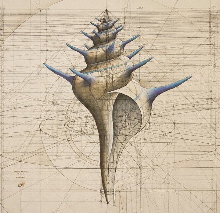 Download Coloring Book Celebrates Mathematical Beauty Of Nature With Hand Drawn Golden Ratio Illustrations