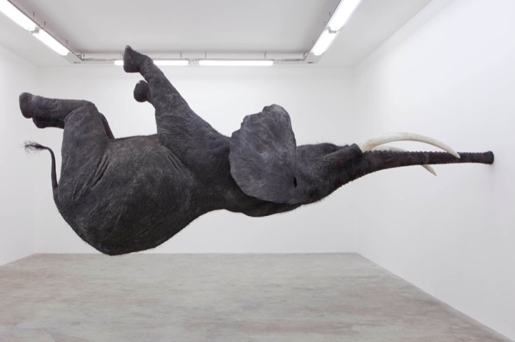 Spectacular Gravity-Defying Elephant Sculpture