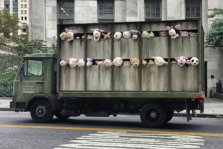 Image result for banksy animals in truck