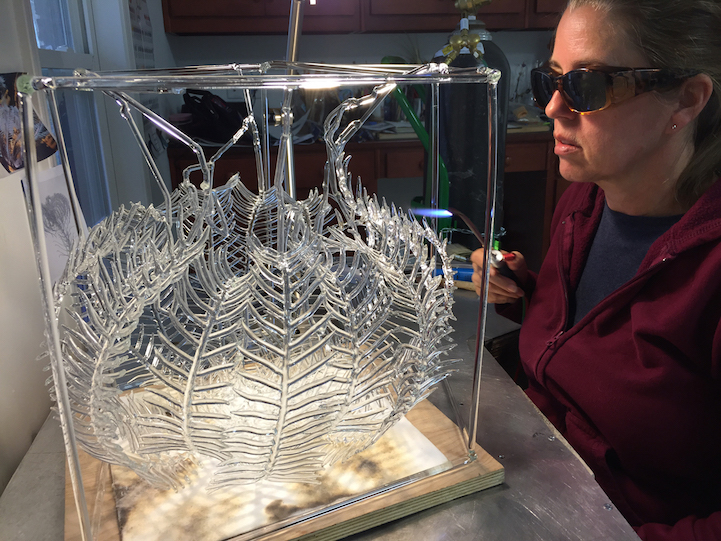 Interview: Artist Uses Fire to Shape Delicate Glass Sculptures