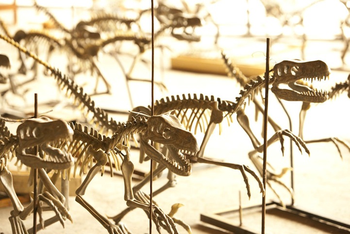 There Are Gilded Dinosaur Skeletons at Louis Vuitton - Racked NY